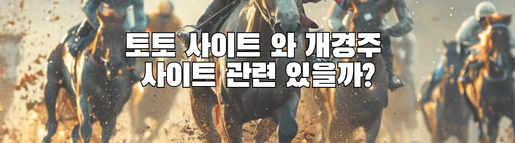 토토 사이트 와 개경주 사이트 관련 있을까?