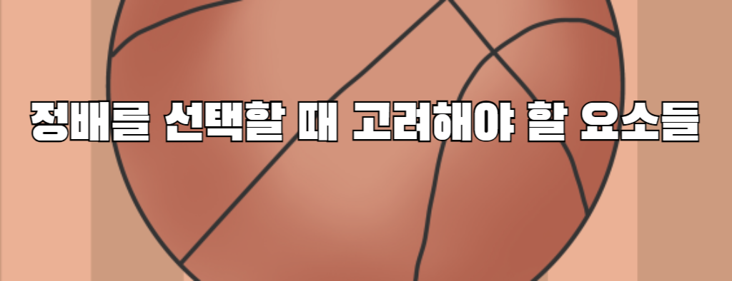 정배를 선택할 때 고려해야 할 요소들